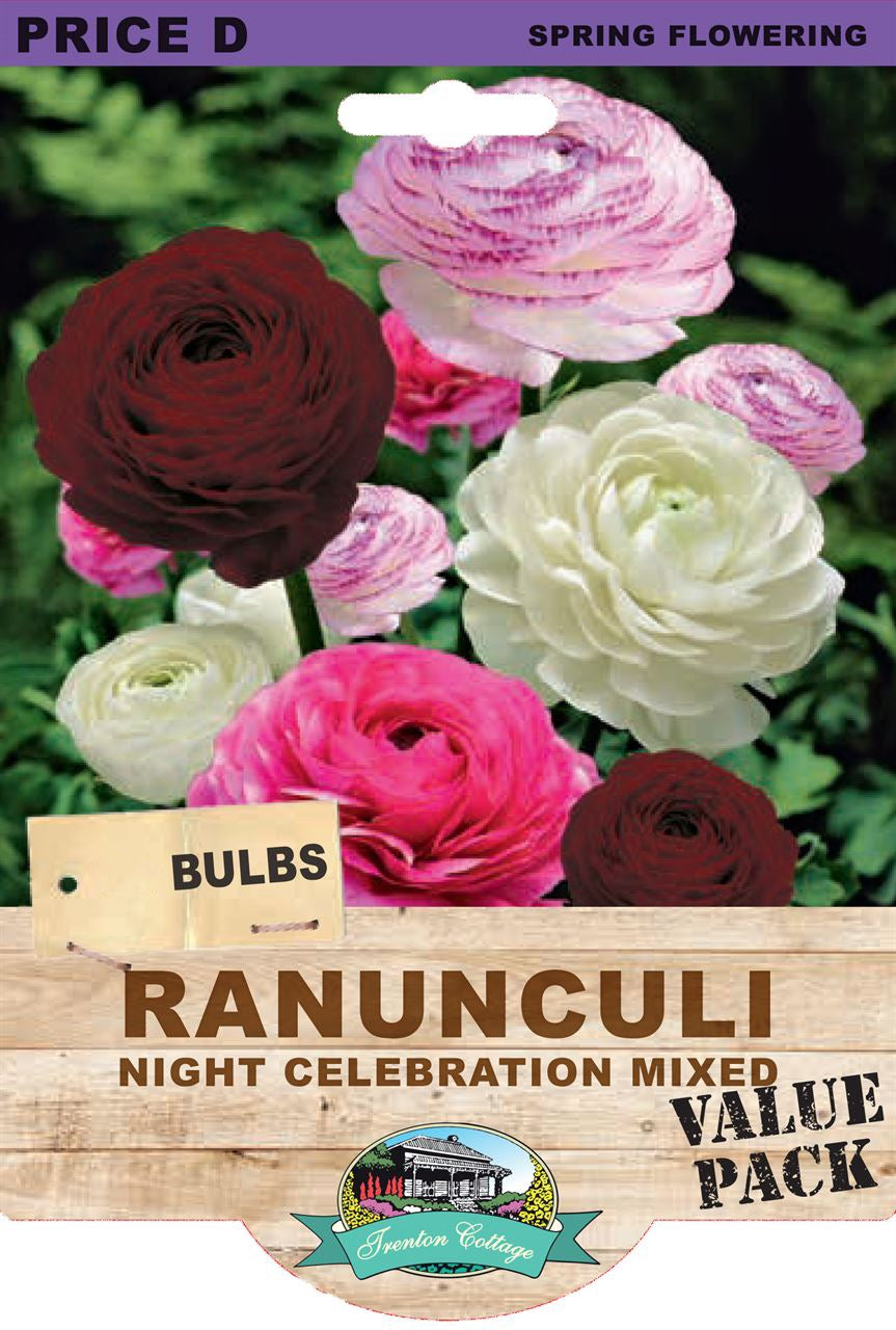 Ranunculi Night Celebration Mixed 65pk