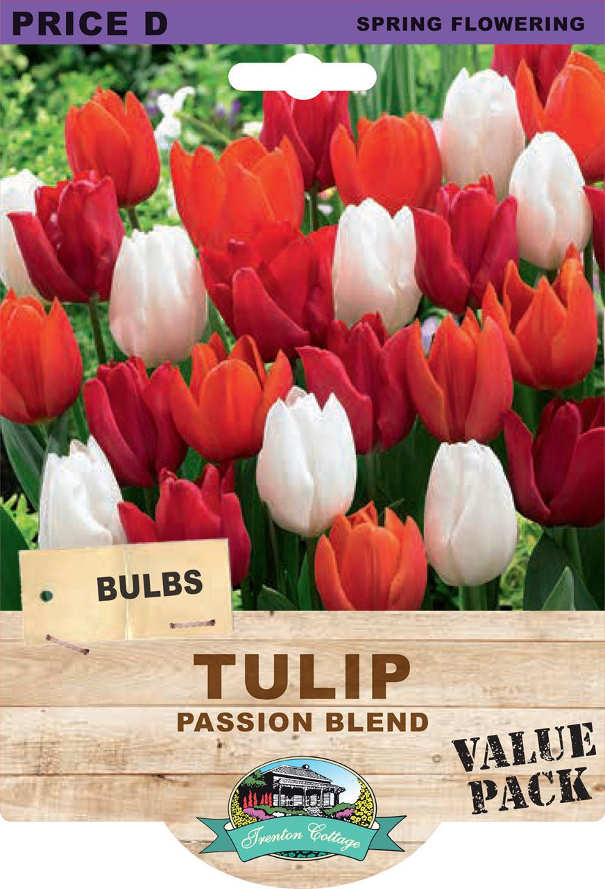 Tulip Passion Blend
