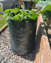 Load image into Gallery viewer, Potato Grow Bags - 2 Pack
