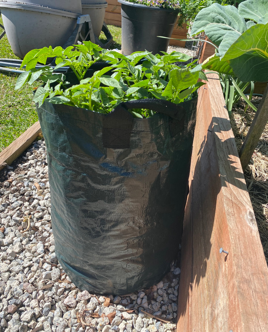 Potato Grow Bags - 2 Pack