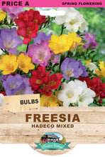 Load image into Gallery viewer, Freesia Hadeco Mixed
