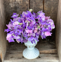 Load image into Gallery viewer, Sweet Pea Urban Veggie Patch Mix
