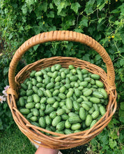 Load image into Gallery viewer, Cucamelons
