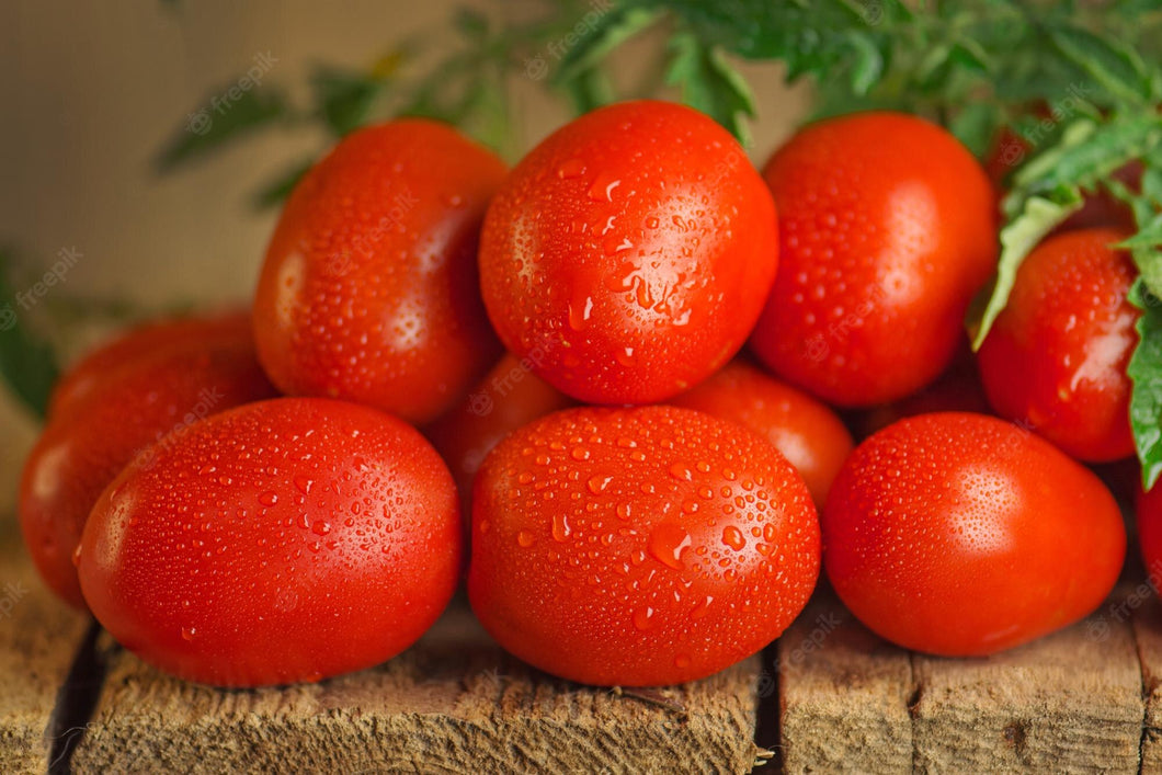 Tomato Roma