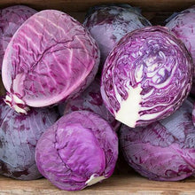 Load image into Gallery viewer, Cabbage Red Express
