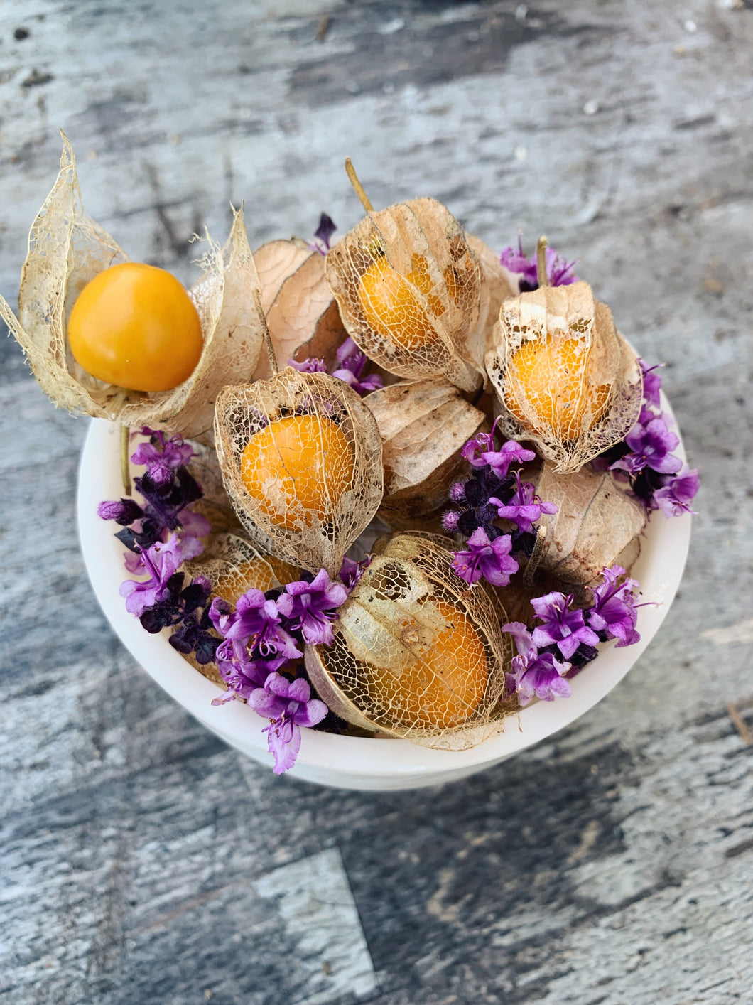 Cape Gooseberry Golden Nugget