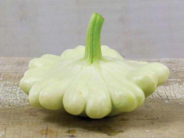 Squash Bennings Green Tint