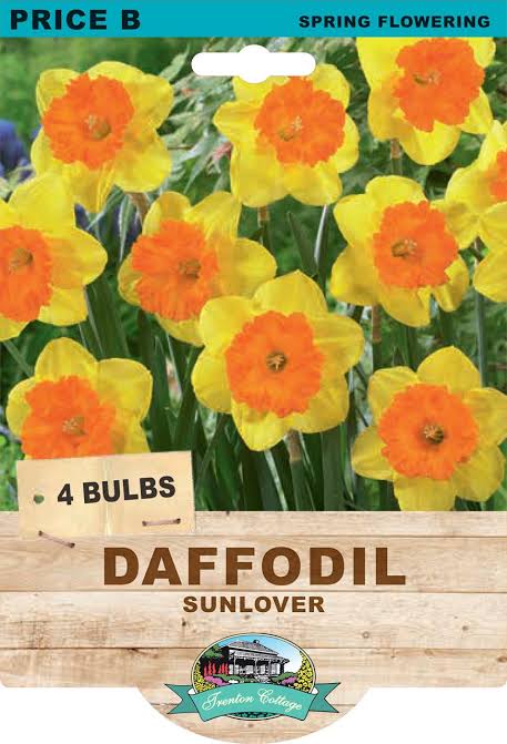 Daffodil Sunlover